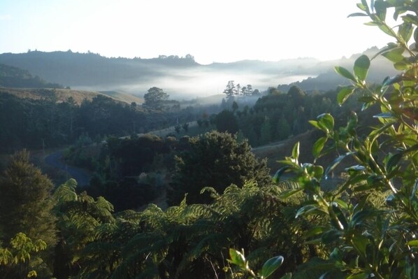 View up the Waiwera Valley