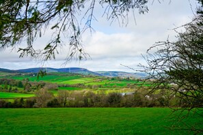 Beautiful views of County Limerick from the garden.