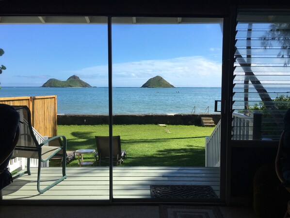 View from living room. Amazing!