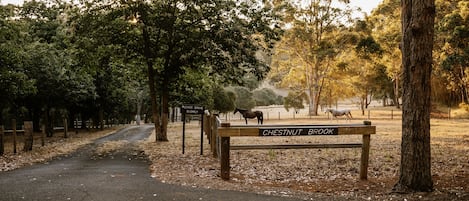 Overnattingsstedets uteområder