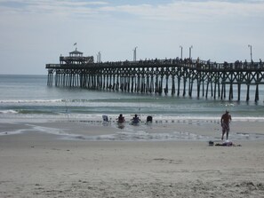 Public fishing pier only 200 yards away 