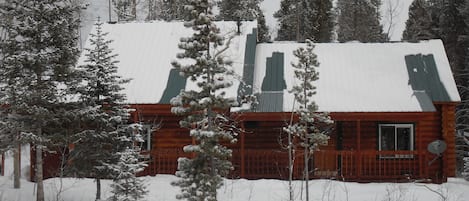 Leaning Pine Cabin 