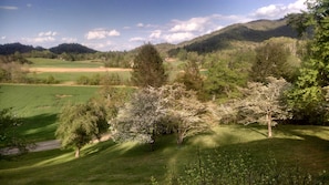 Springtime in the mountains of western North Carolina