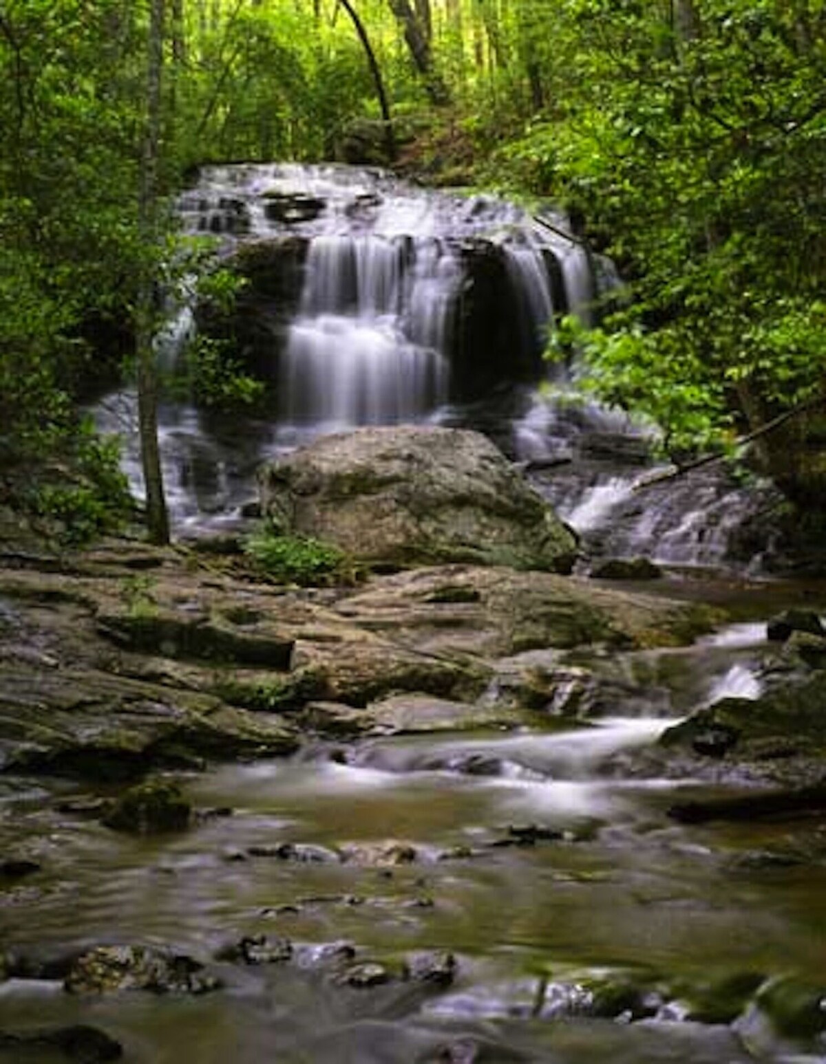 Main Image