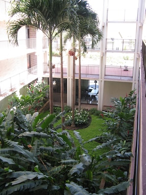 Interior courtyard at our resort. 