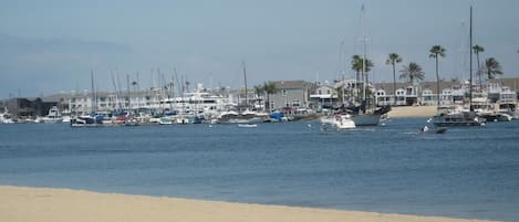 Newport Bay - Mother's Beach