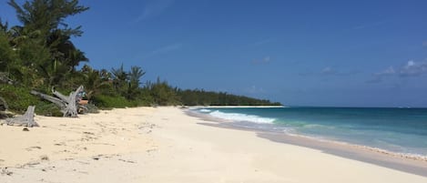 On the Dune from the beach