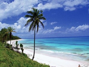 Our spectacular pink sand beach