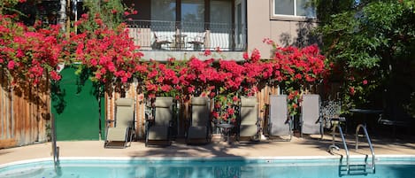 Front of the villa from pool area