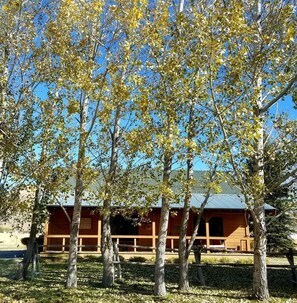 The Cabin in the Fall