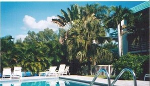 Pool at Sanibel Siesta