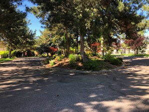 Large gated circular driveway.