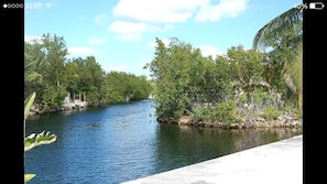 Our dock is 90 feet and is on the Tee of the canal so easy turning around. 