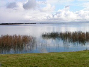 Still Waters