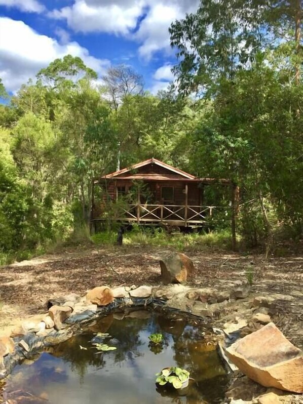 Bluegums Cabins - The Lilypond Cabin
