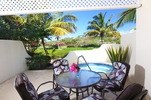 Patio and Plunge Pool on an Idyllic Afternoon