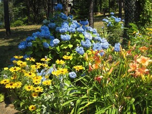 Flower gardens throughout development