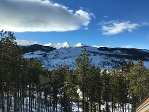 View from kitchen table.