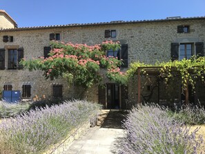 Summer lavender, shady terrace and garden door at Le Presbytere 