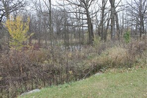 Pond on the side of the lodge