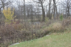 Pond on the side of the lodge