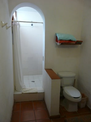 Bathroom toilet(raised)/shower