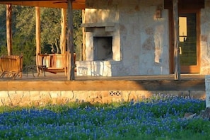 Outside fireplace with bluebonnets in April.