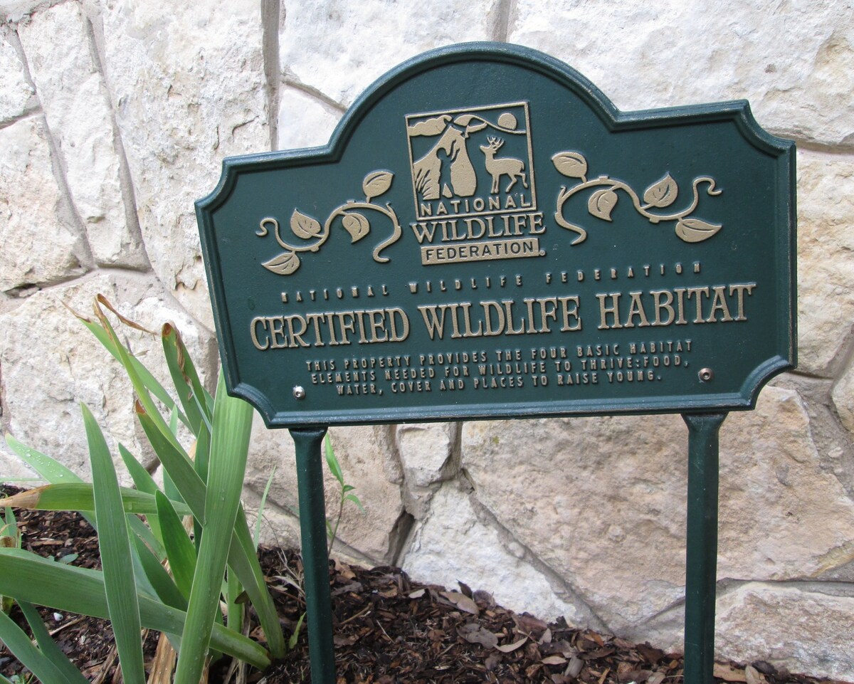 San Antonio Historic Home, 3 bedrooms: Hill Country Views, Dogs Welcome