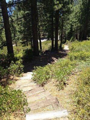 Near the cabin is the pathway that leads down to the white sandbeach at MeeksBay