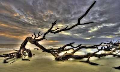  Jekyll Island restful beach retreat 