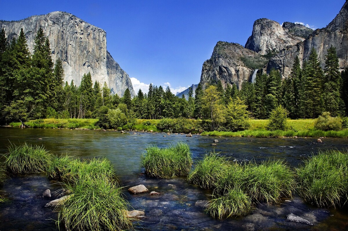 Yosemite Country Cottage~Private~Quiet~Star Gazing~Non-smokers/Vapers~No animals