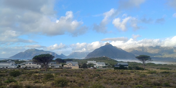 View north, looking towards rear of house, last house on rhs