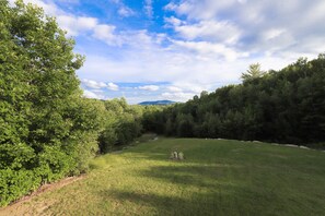 Boendeområde