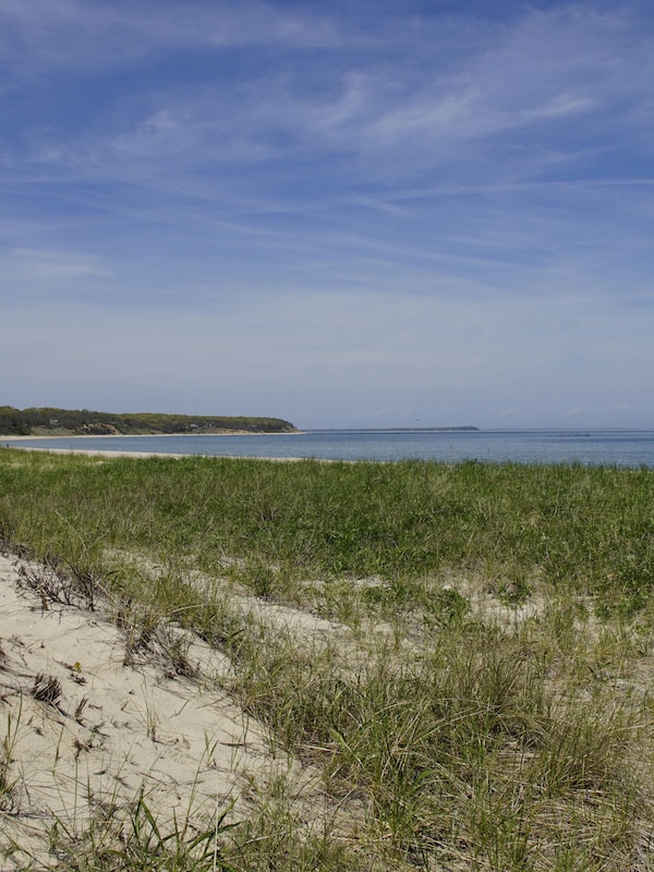 Sammy's Beach