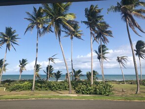 New Picture August 2018 - View from the side porch - NO ZOOM REQUIRED