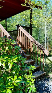 Cabin For Two,   Little Lake Cabins, Quite, Secluded Retreat.