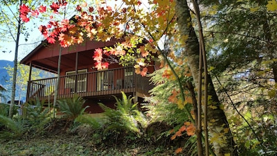 Cabin For Two,   Little Lake Cabins, Quite, Secluded Retreat.