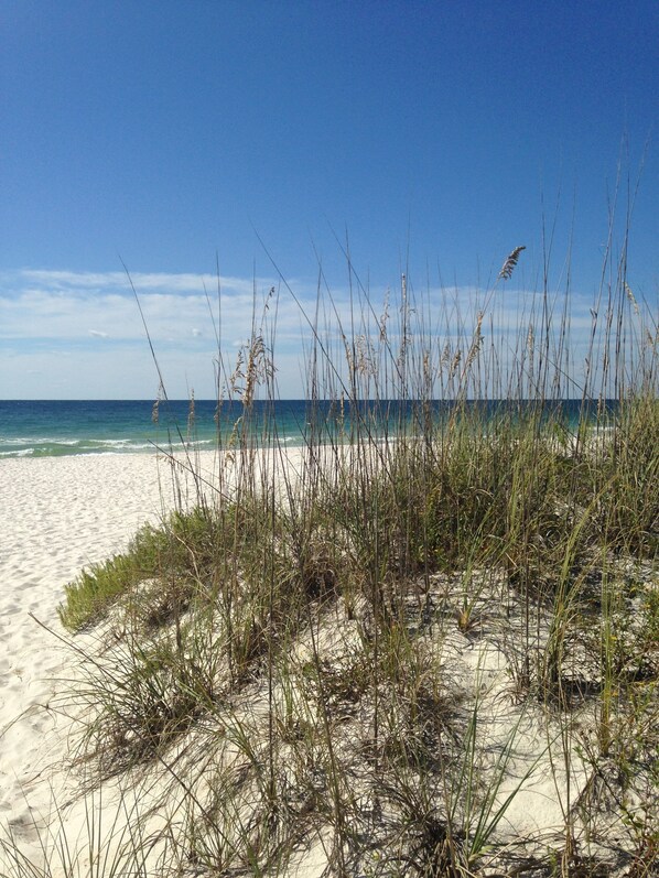 Beach in front of Regency Isle