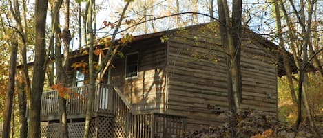 front porch & entrance
