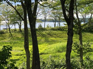 View from the screened porch.