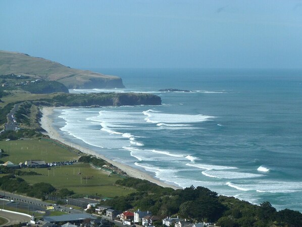Strand