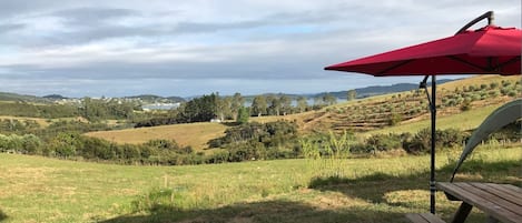 View from kitchen