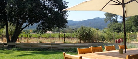 View from farmhouse
 looking west over vineyards.