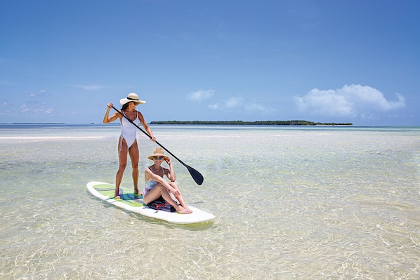 Rent a Paddleboard nearby