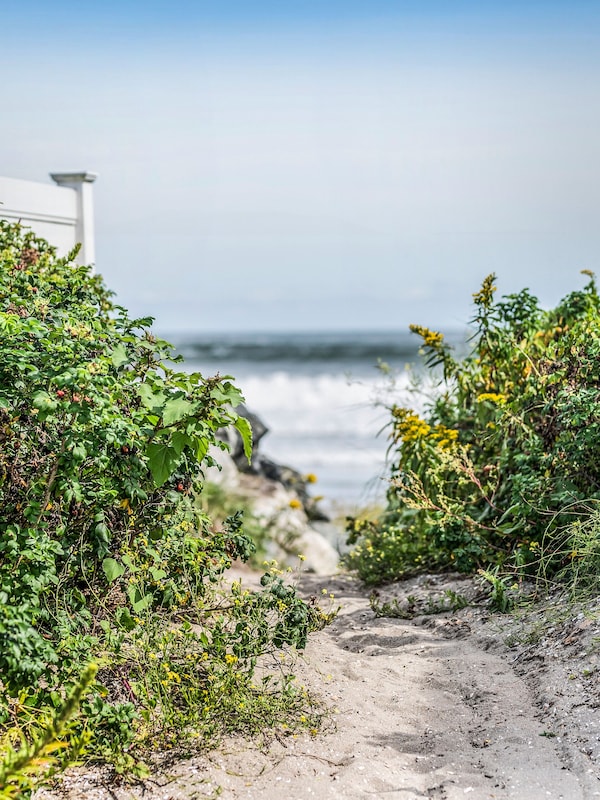 Path to beach!