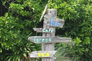 Which way to explore?