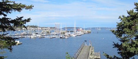 Your own dock to the sea side.