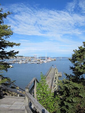 Shared condo dock