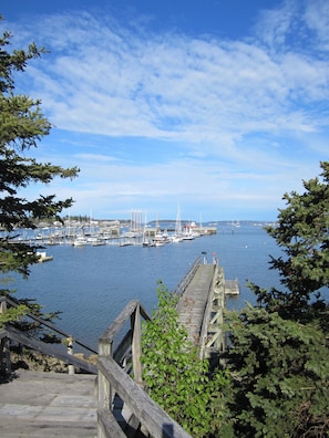 Shared condo dock