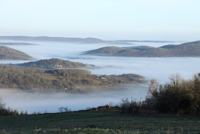 Diejenigen, die die Natur lieben